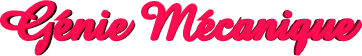 gmeca.gif (6072 octets)
